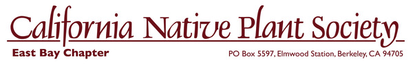 ebcnps-stationery-header-red ebcnps-stationery-header-red